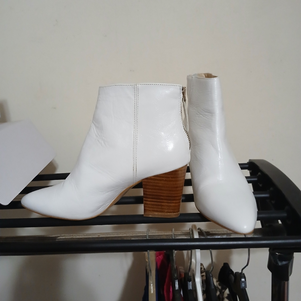 Zara Basic Collection - image 1